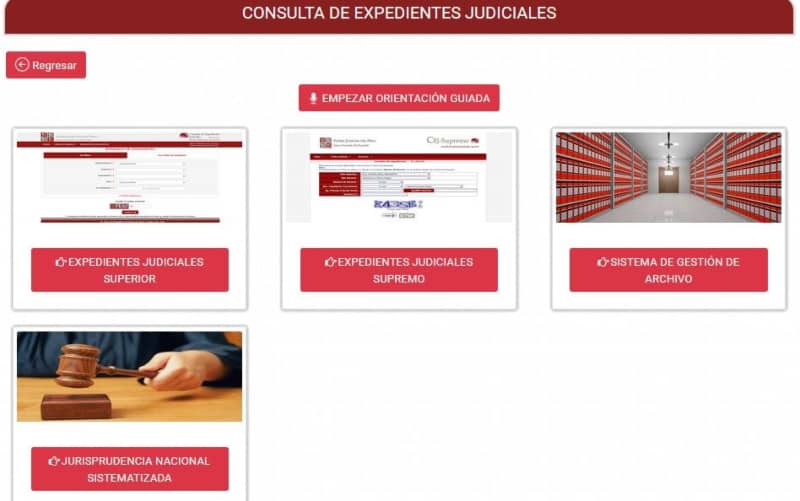 consulta de expedientes judiciales por internet