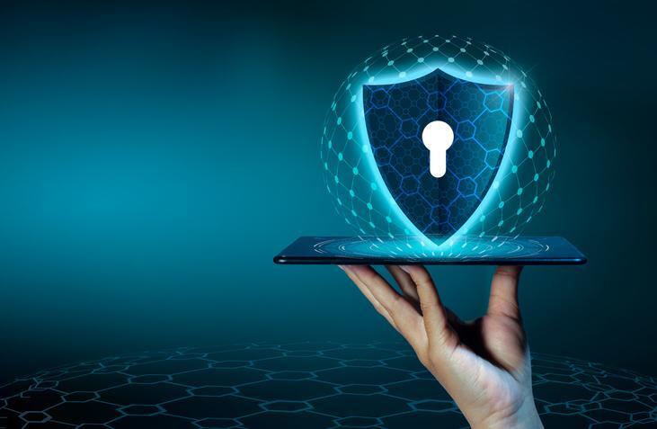 Protección base de datos